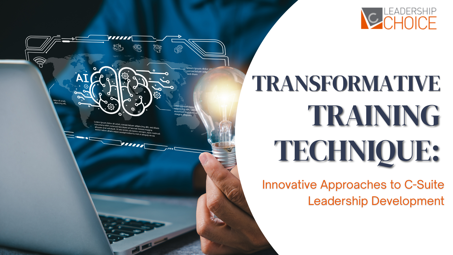 C-suite leadership development using transformative training techniques to build effective executive leadership skills.
