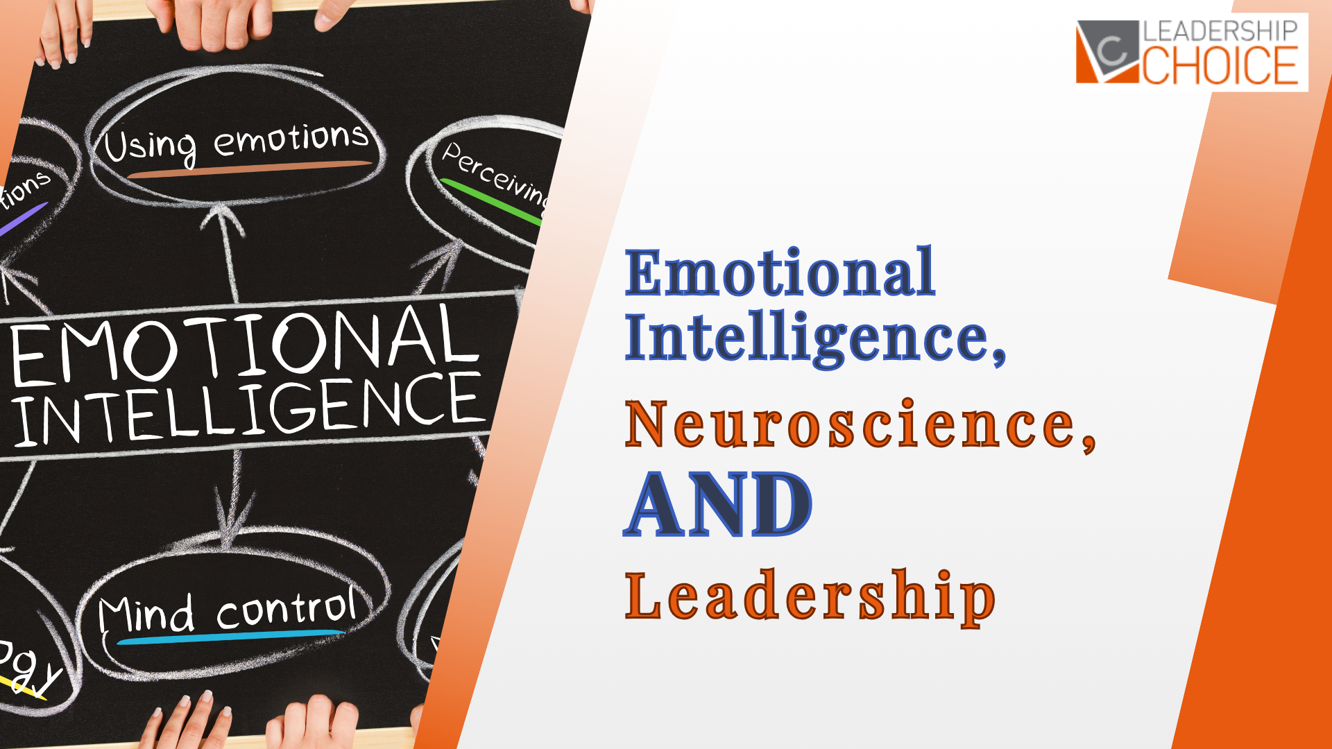 Neuroscience and leadership explain how the brain influences emotional processing, decision-making, and workplace behavior.